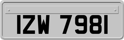 IZW7981