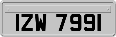 IZW7991