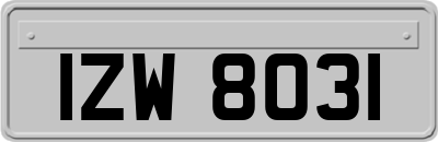 IZW8031