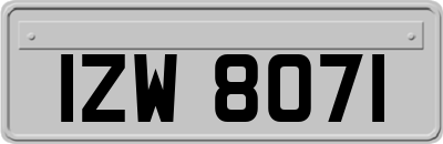 IZW8071