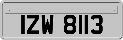 IZW8113