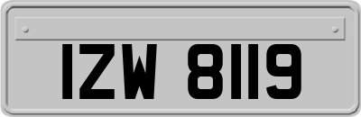 IZW8119