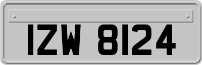 IZW8124