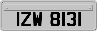 IZW8131