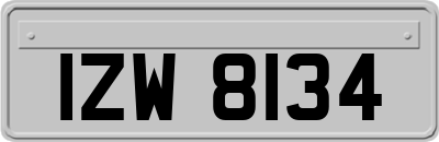 IZW8134
