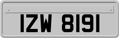 IZW8191