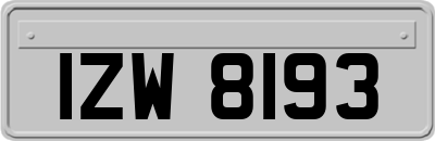 IZW8193