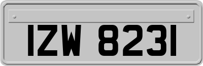 IZW8231