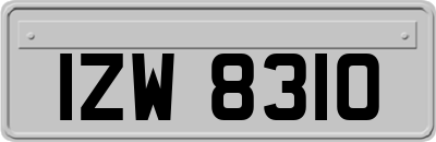 IZW8310