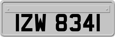IZW8341