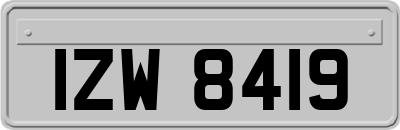 IZW8419
