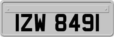 IZW8491