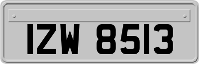 IZW8513