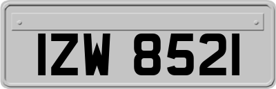 IZW8521