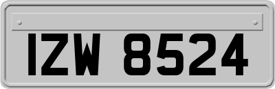 IZW8524