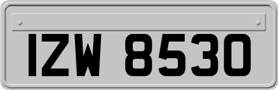 IZW8530