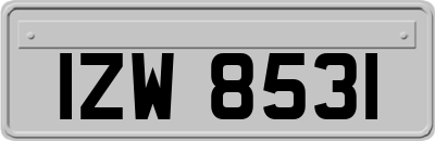 IZW8531