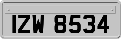 IZW8534