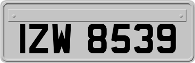IZW8539