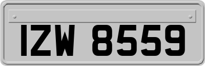 IZW8559