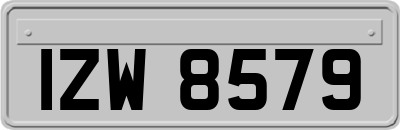 IZW8579