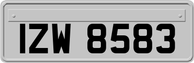 IZW8583