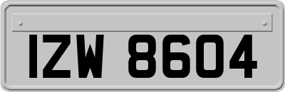 IZW8604