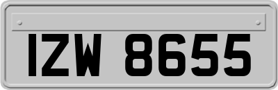 IZW8655