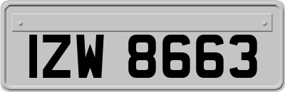 IZW8663