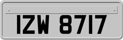 IZW8717