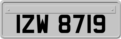 IZW8719