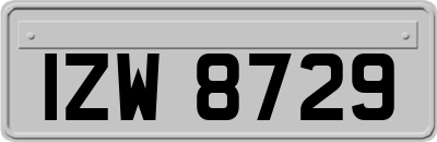 IZW8729