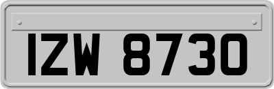 IZW8730