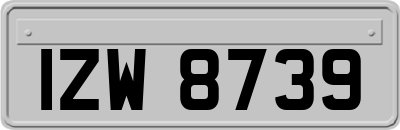 IZW8739