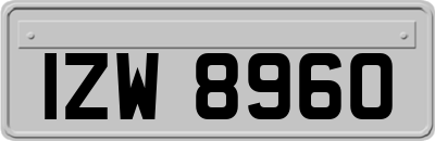 IZW8960