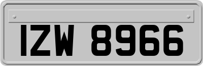 IZW8966