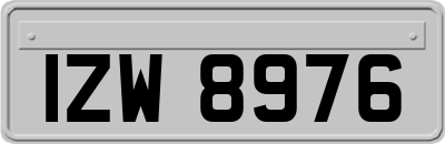 IZW8976