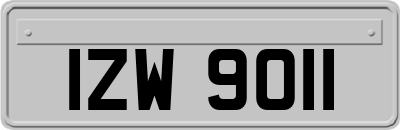 IZW9011