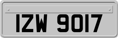 IZW9017