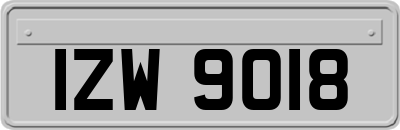 IZW9018