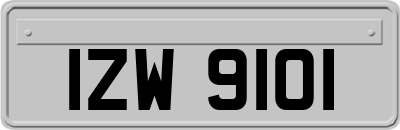 IZW9101