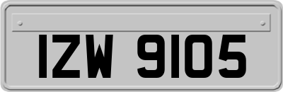 IZW9105