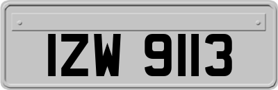 IZW9113