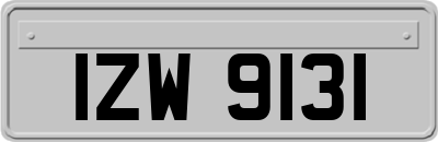 IZW9131