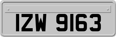 IZW9163