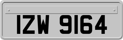 IZW9164