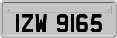 IZW9165