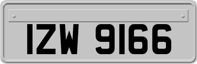 IZW9166