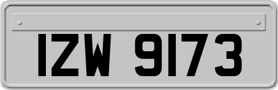 IZW9173