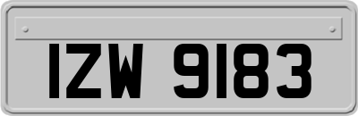 IZW9183